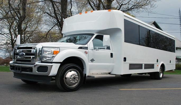 New Orleans 20 Passenger Party Bus